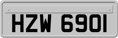 HZW6901