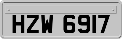 HZW6917