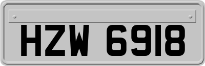 HZW6918