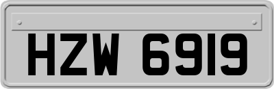 HZW6919