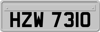 HZW7310