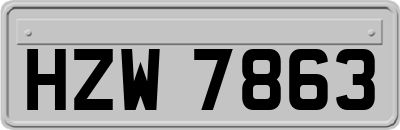 HZW7863
