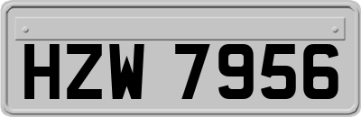 HZW7956