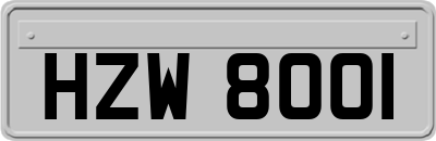 HZW8001