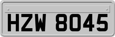 HZW8045