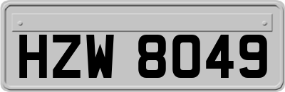 HZW8049