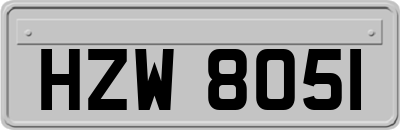 HZW8051
