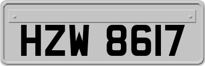 HZW8617