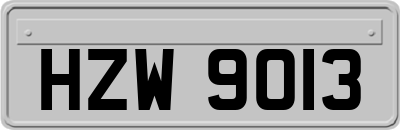HZW9013
