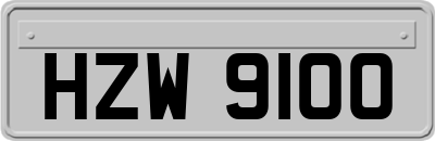 HZW9100