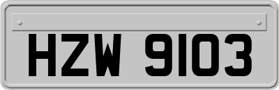 HZW9103