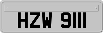 HZW9111
