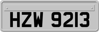 HZW9213