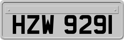 HZW9291
