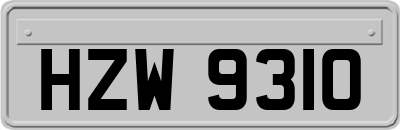 HZW9310