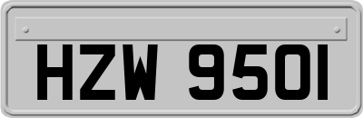 HZW9501