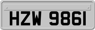 HZW9861
