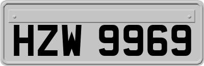 HZW9969