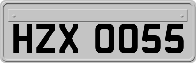 HZX0055