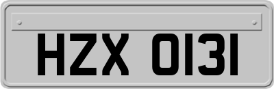 HZX0131