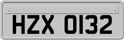 HZX0132