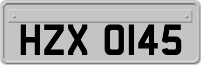 HZX0145