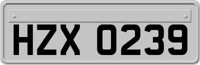 HZX0239