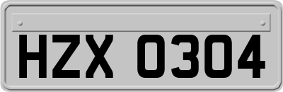 HZX0304