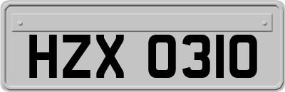 HZX0310