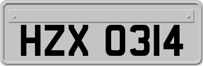 HZX0314