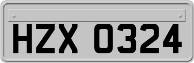 HZX0324