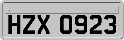 HZX0923