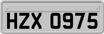 HZX0975
