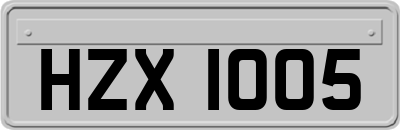 HZX1005