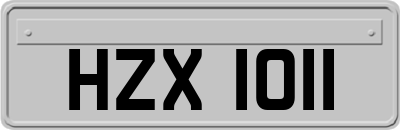 HZX1011