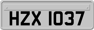 HZX1037