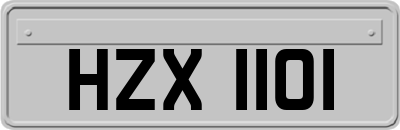 HZX1101