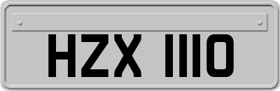 HZX1110