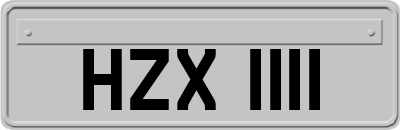 HZX1111