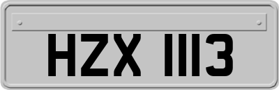 HZX1113