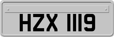 HZX1119