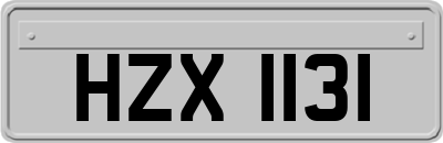 HZX1131