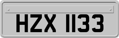 HZX1133