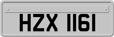 HZX1161