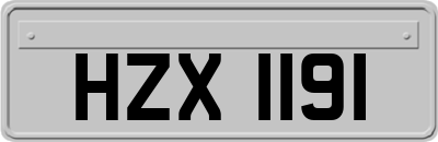 HZX1191