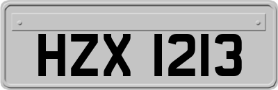 HZX1213