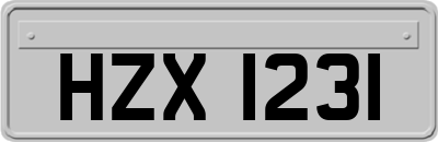 HZX1231