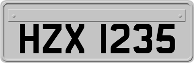 HZX1235