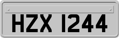 HZX1244