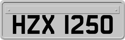 HZX1250